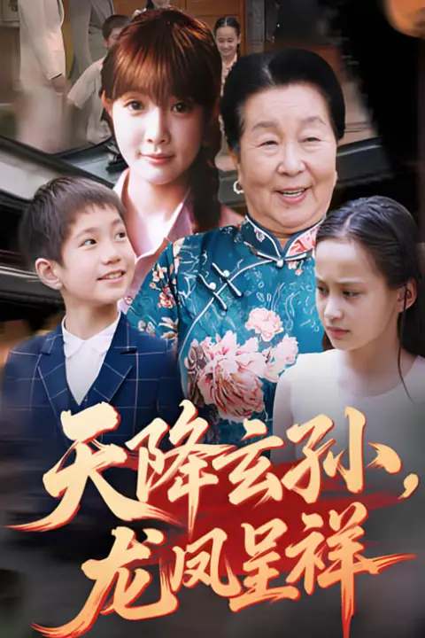 《天降玄孙龙凤呈祥》封面