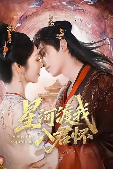 《星河渡我入君怀》封面