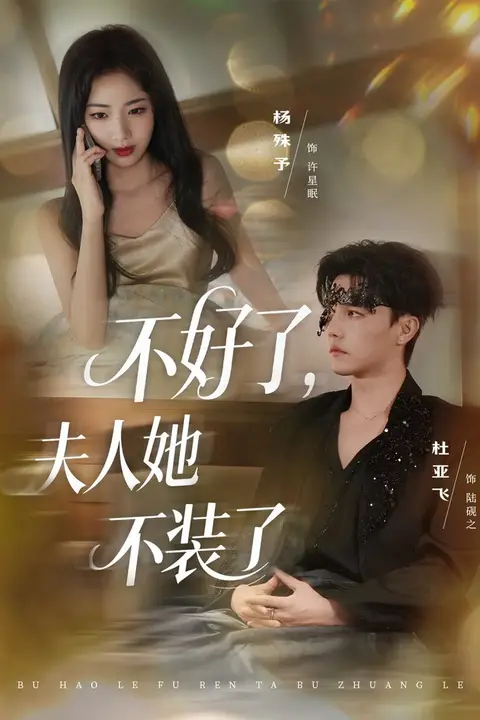 《不好了夫人她不装了》封面