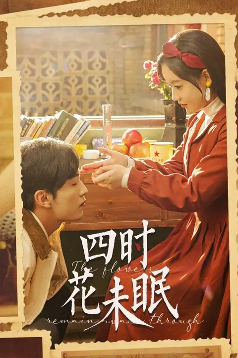 《四时花未眠》封面