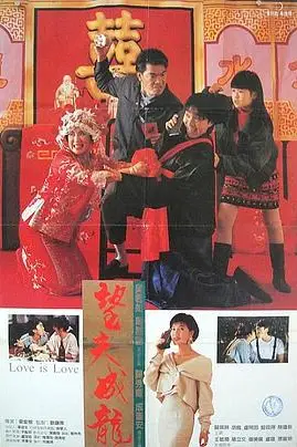 《望夫成龙（国语版）》封面