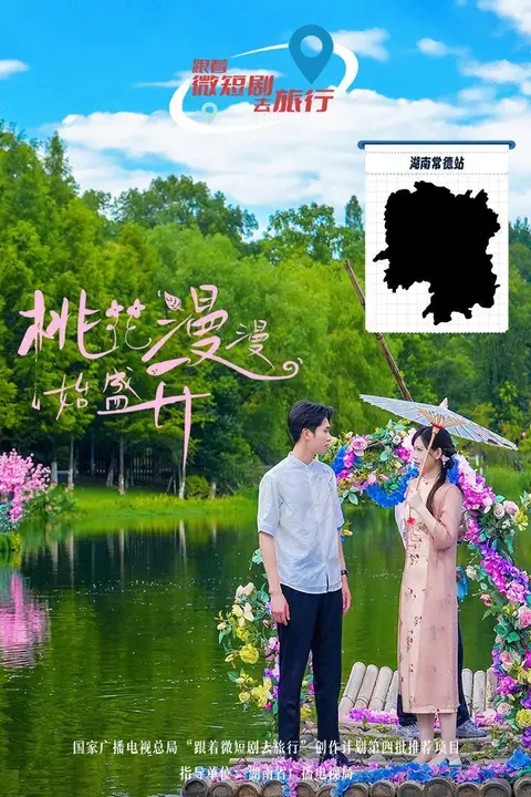 《桃花漫漫始盛开》封面