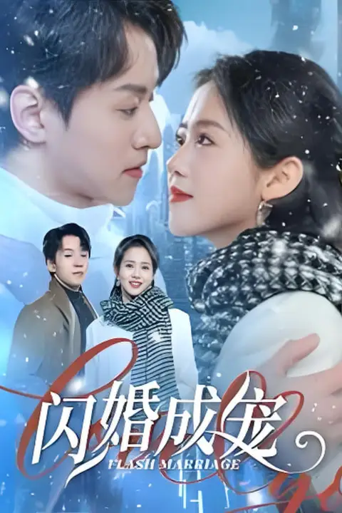 《闪婚成宠》封面