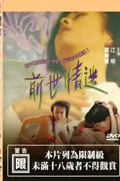 《前世情迷》封面