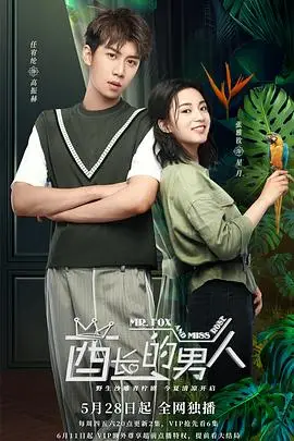 《酋长的男人》封面