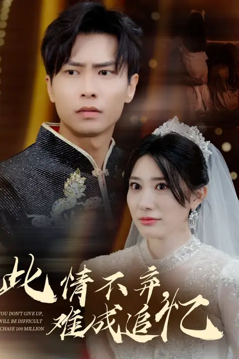《此情不弃难成追忆》封面