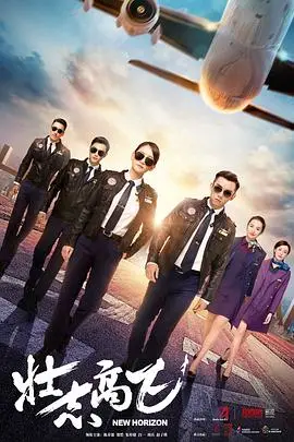 《壮志高飞》封面