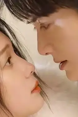 《玫瑰藏在浅风里》封面