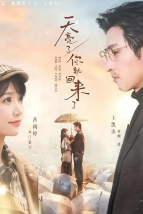 《天亮了，你就回来了》封面