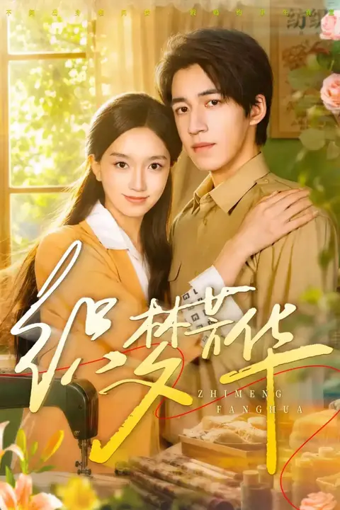 《织梦芳华》封面