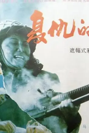 《复仇的女人》封面