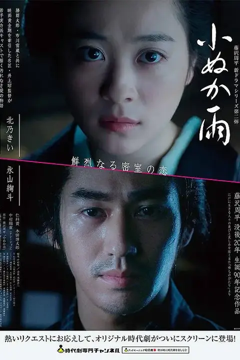 《如雾细雨》封面