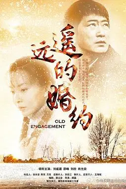 《遥远的婚约》封面