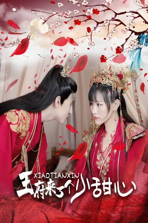 《王府来了一个小甜心》封面