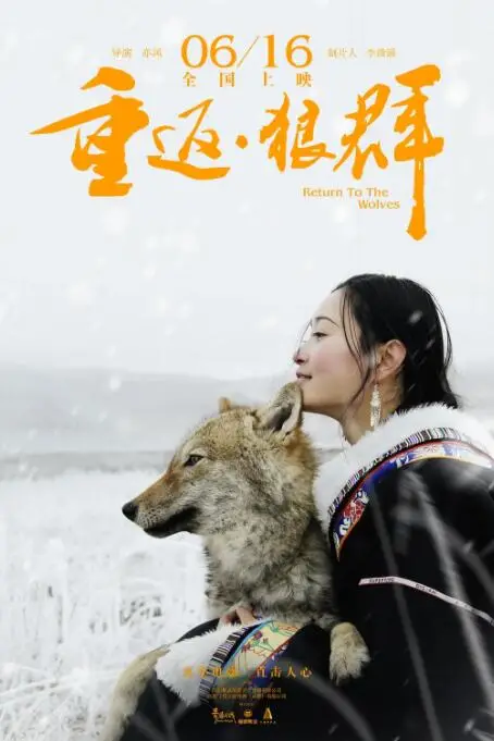 《重返·狼群》封面