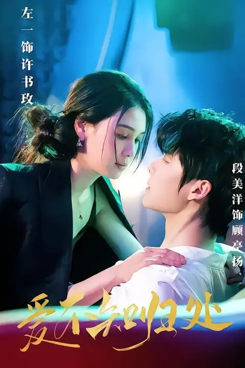 《爱不知归处》封面