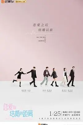《恋爱到结婚的距离》封面