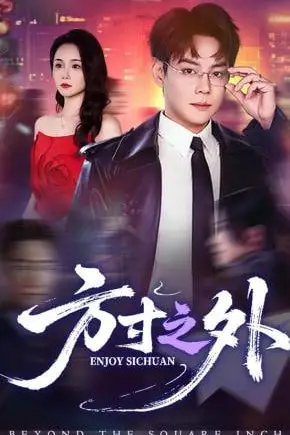 《方寸之外》封面