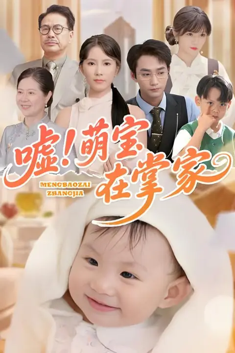 《嘘!萌宝在掌家》封面