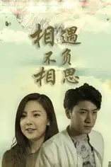 《相遇不负相思》封面