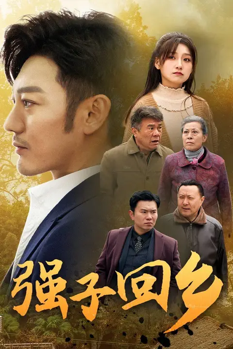 《强子回乡》封面