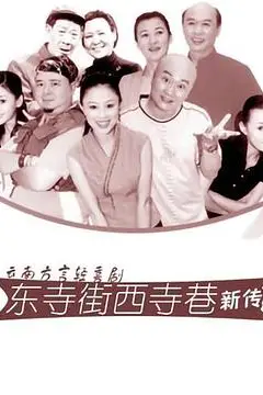 《东寺街西寺巷新传》封面