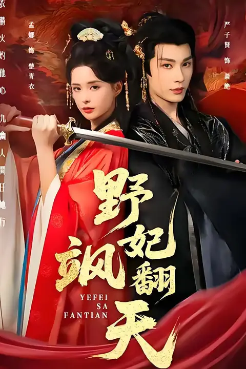 《野妃飒翻天》封面
