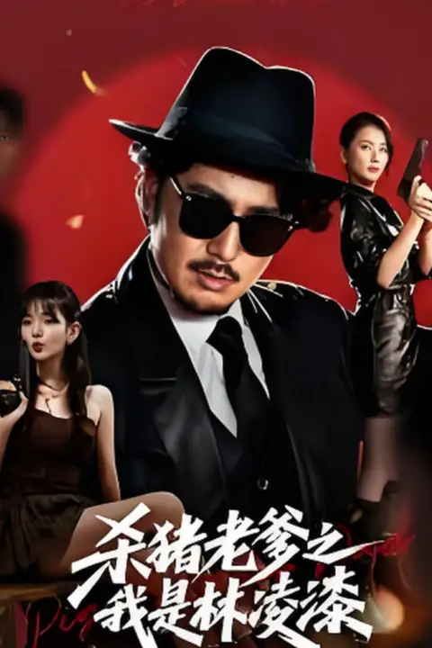 《杀猪老爹之我是林凌漆》封面