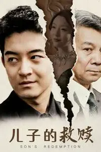 《儿子的救赎》封面