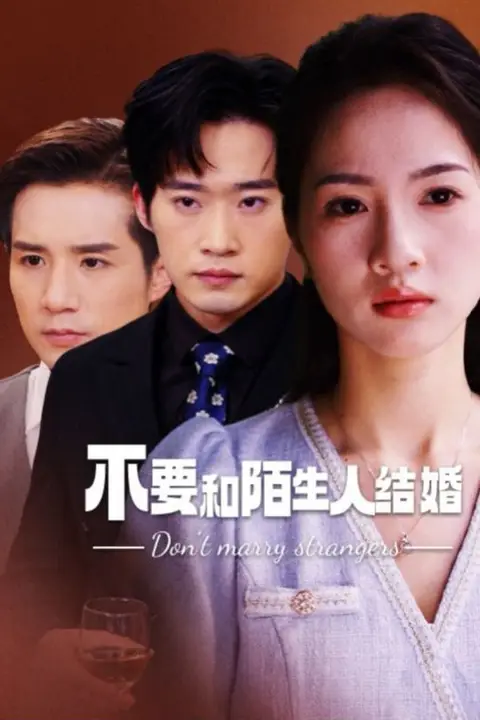 《不要和陌生人结婚》封面