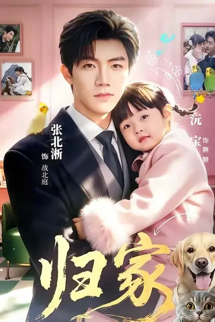 《归家》封面