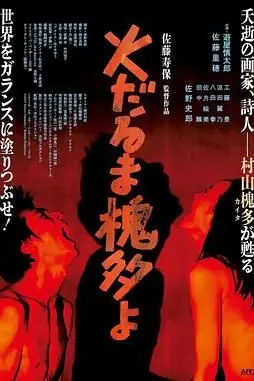 《燃烧的槐多啊》封面
