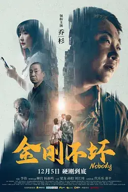 《金刚不坏》封面