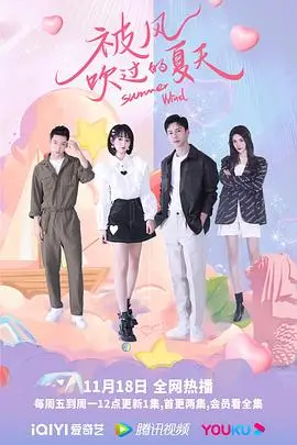 《被风吹过的夏天》封面