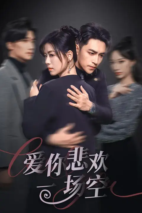《爱你悲欢一场空》封面