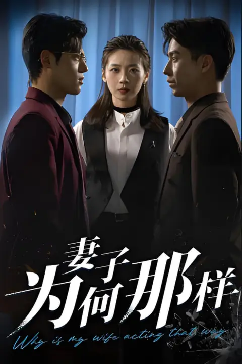 《妻子为何那样》封面