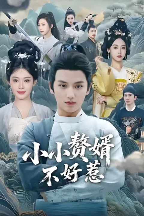 《小小赘婿不好惹》封面