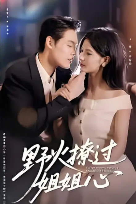 《野火撩过姐姐心》封面