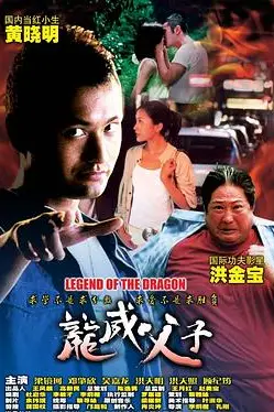 《龙威父子》封面
