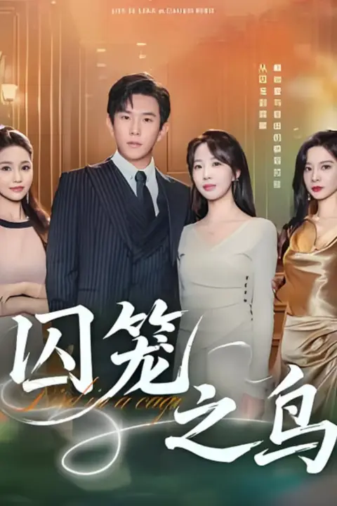 《囚笼之鸟》封面