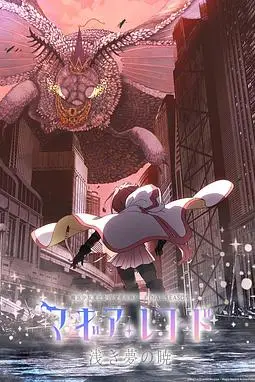 《魔法纪录：魔法少女小圆外传》封面