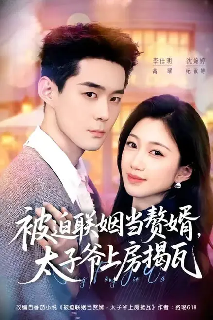《被迫联姻当赘婿，太子爷上房揭瓦》封面