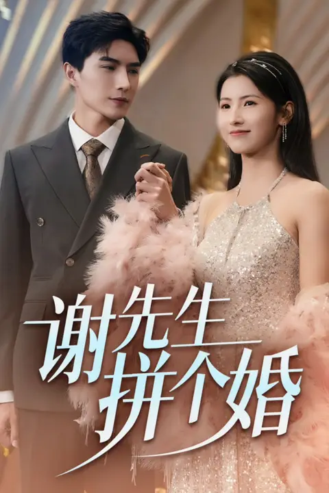 《谢先生拼个婚》封面
