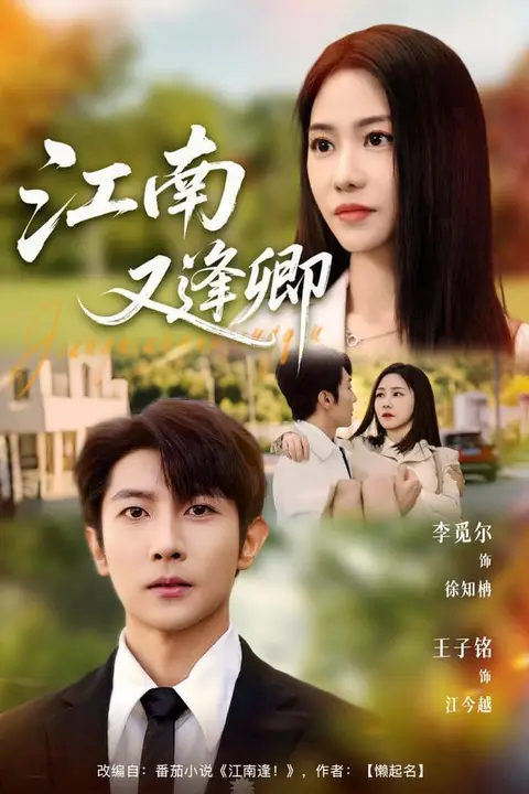 《江南又逢卿》封面