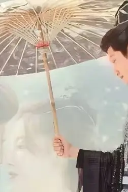 《重生复仇之王妃她不好惹》封面