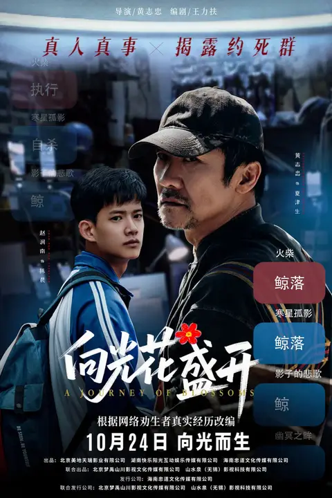 《向光花盛开》封面