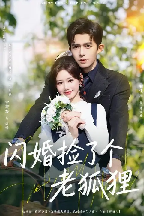 《闪婚捡了个老狐狸》封面