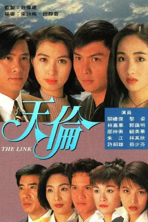 《天伦 1993》封面