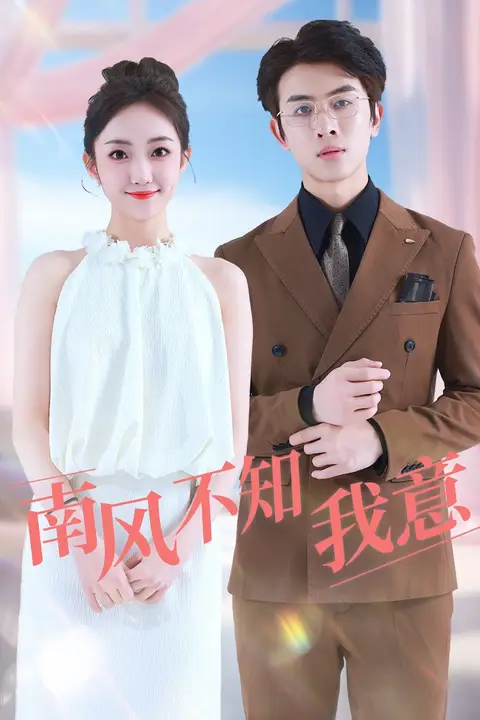 《南风不知我意》封面