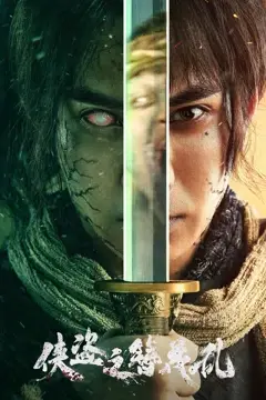 《侠盗之簪花乱》封面